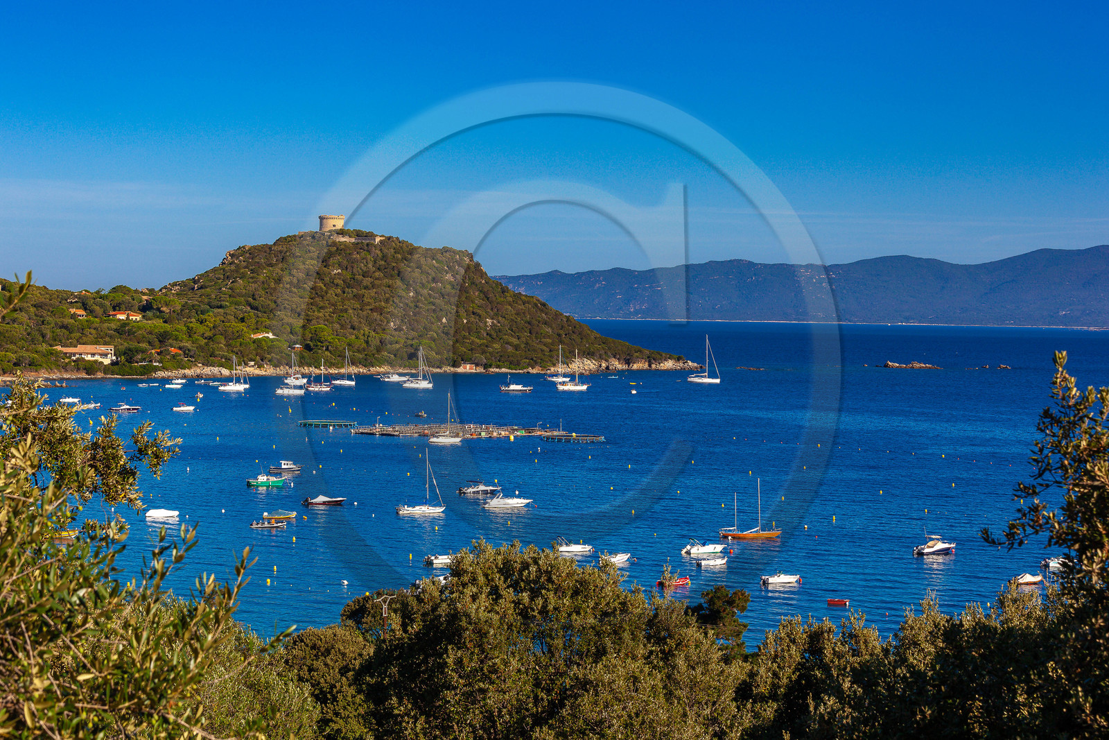 Belvédère-Campomoro,