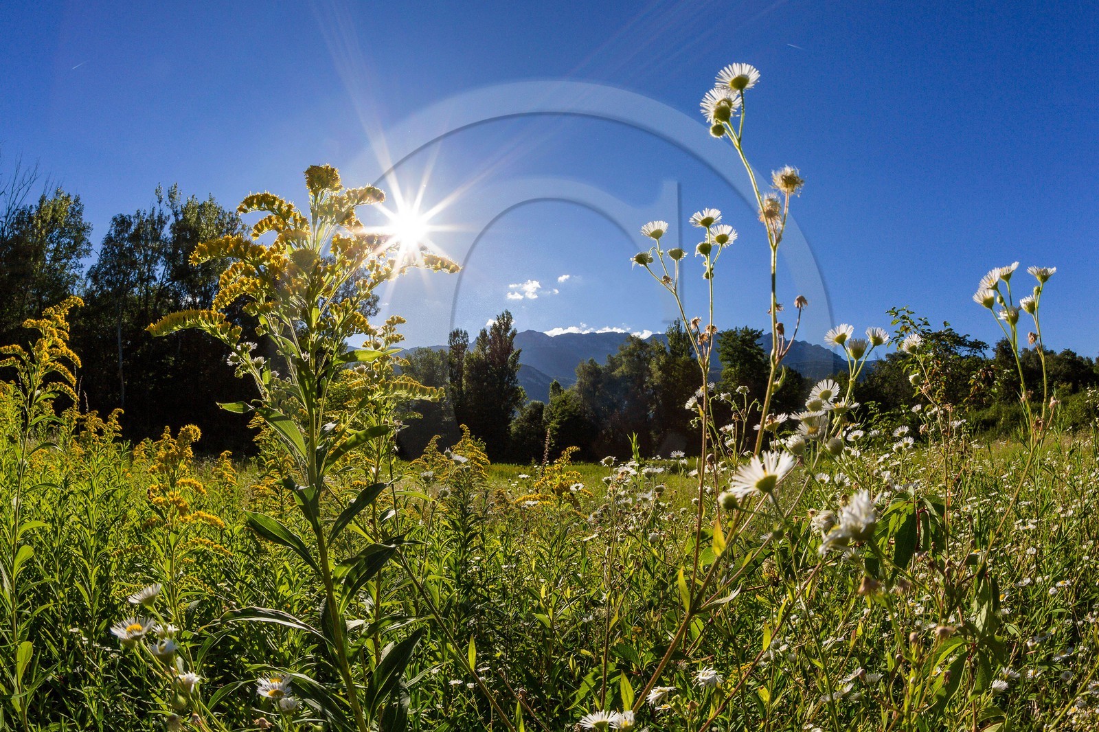 ENS de l'Isère, espace alluvial de la Rolande