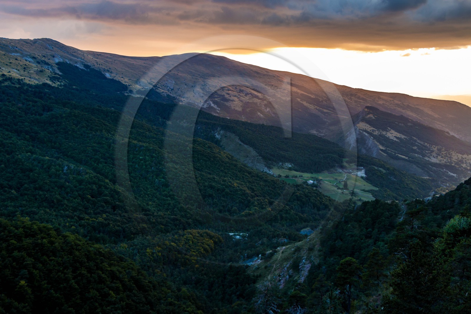 Les Monges, vallon de Reynier