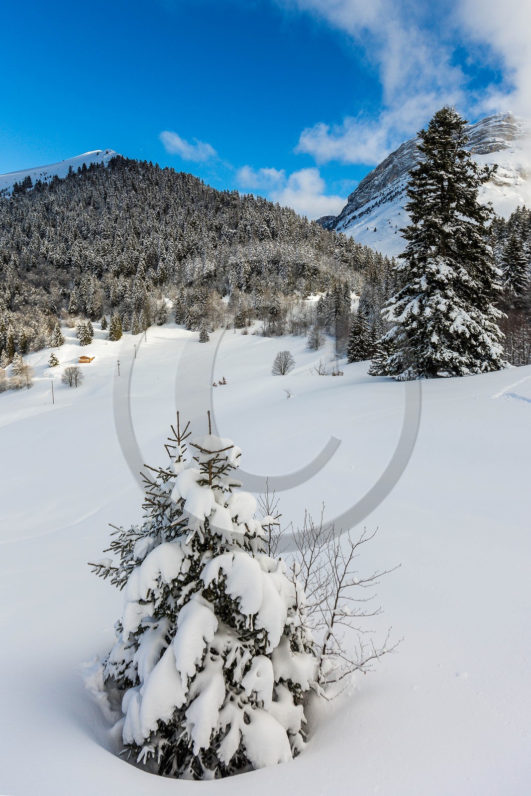 Espace naturel sensible de l'Isère, Col du Coq