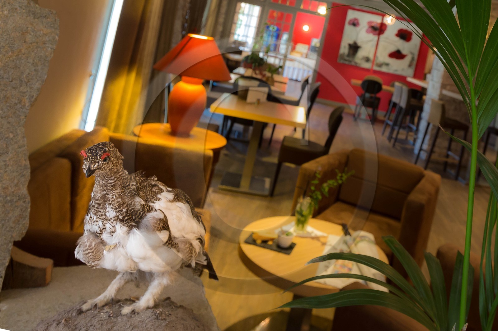 Hôtel restaurant spa Les Bartavelles