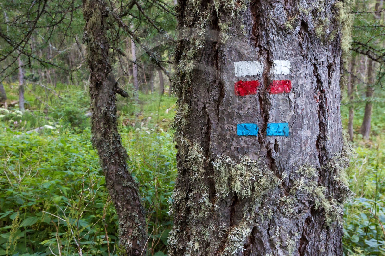 Ubaye, Vallon du Laverq