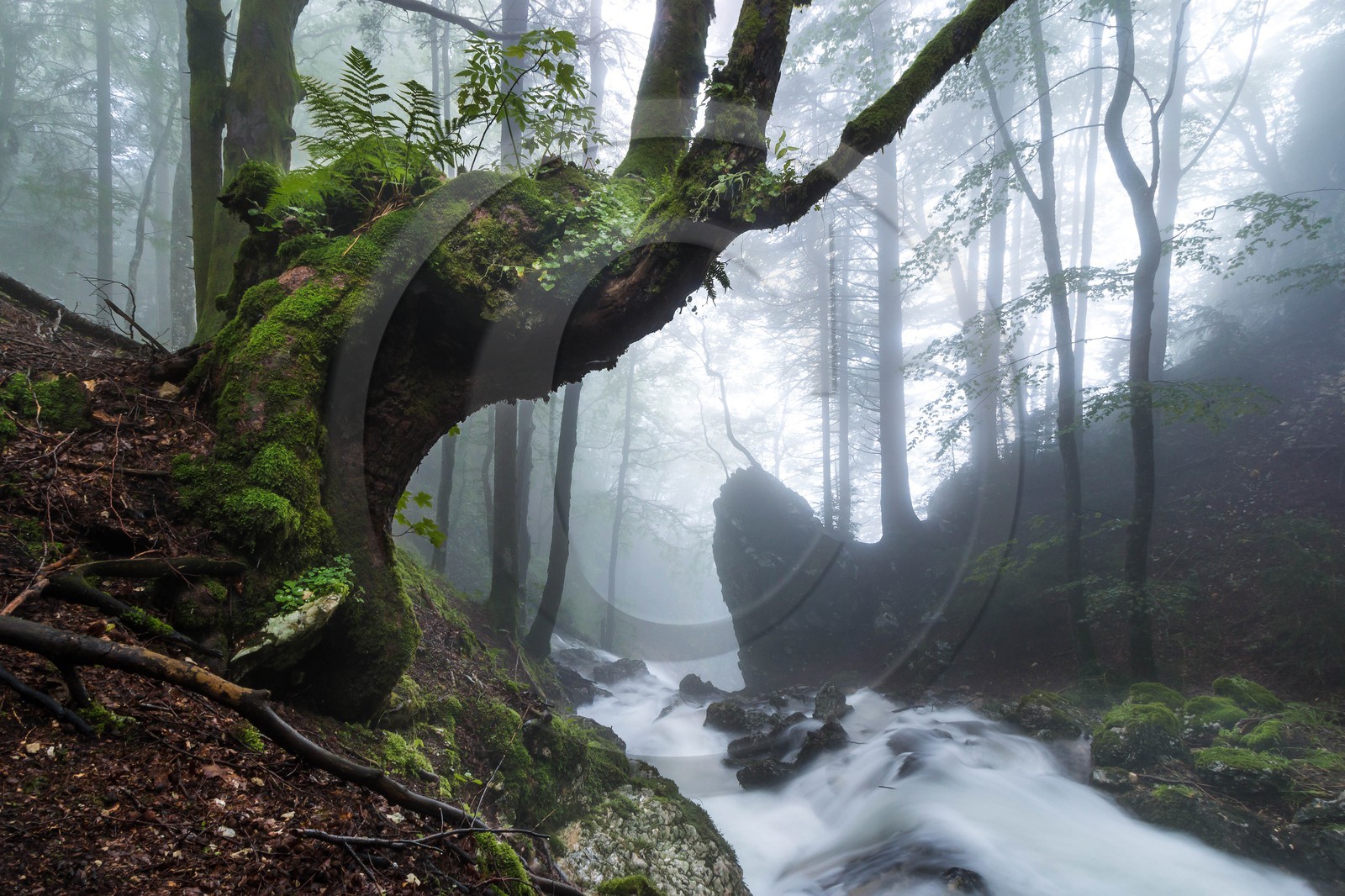 ENS de l'Isère, Les Ecouges