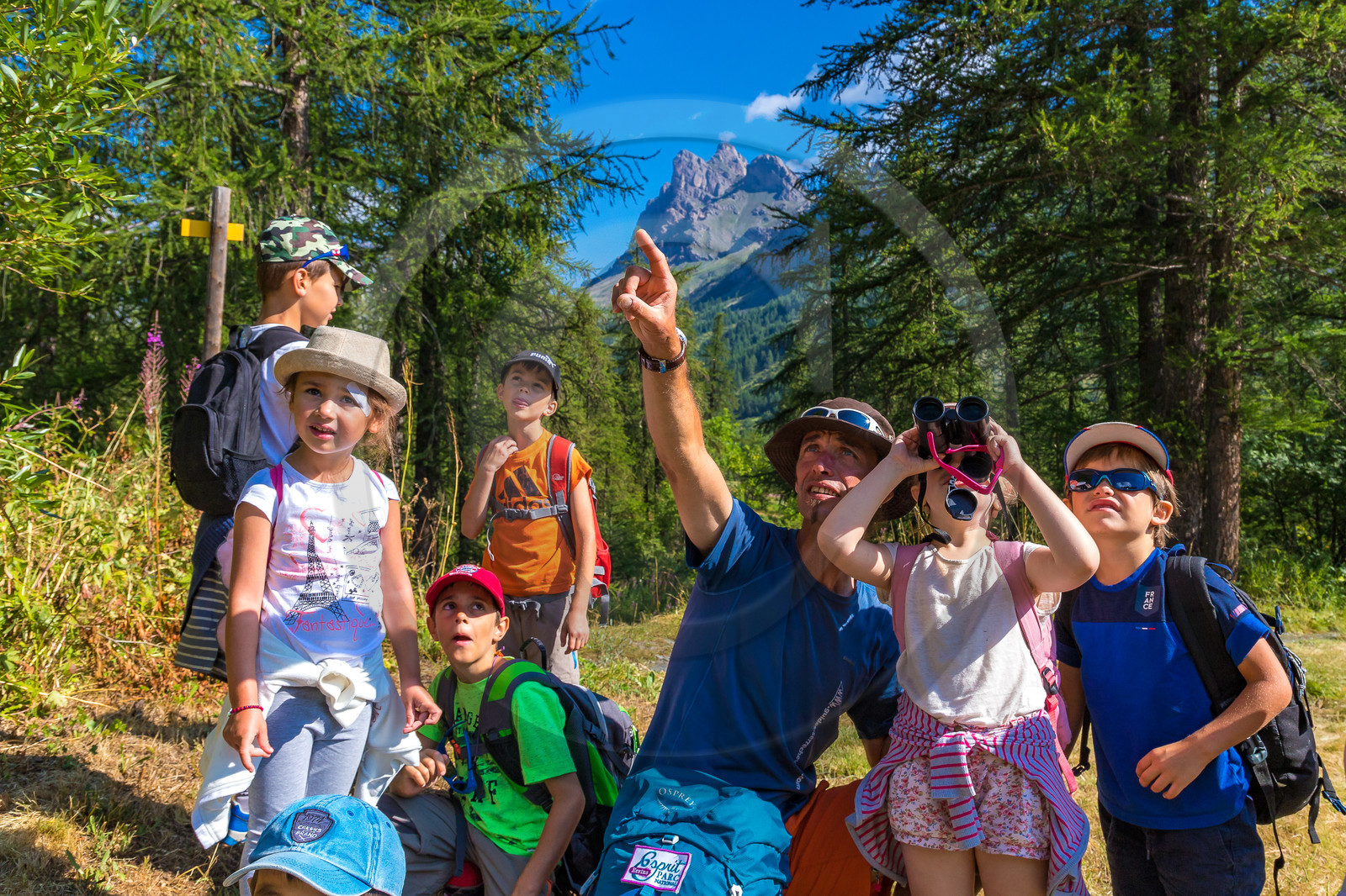 Curieux de nature, sortie découverte avec Cyril Mahout