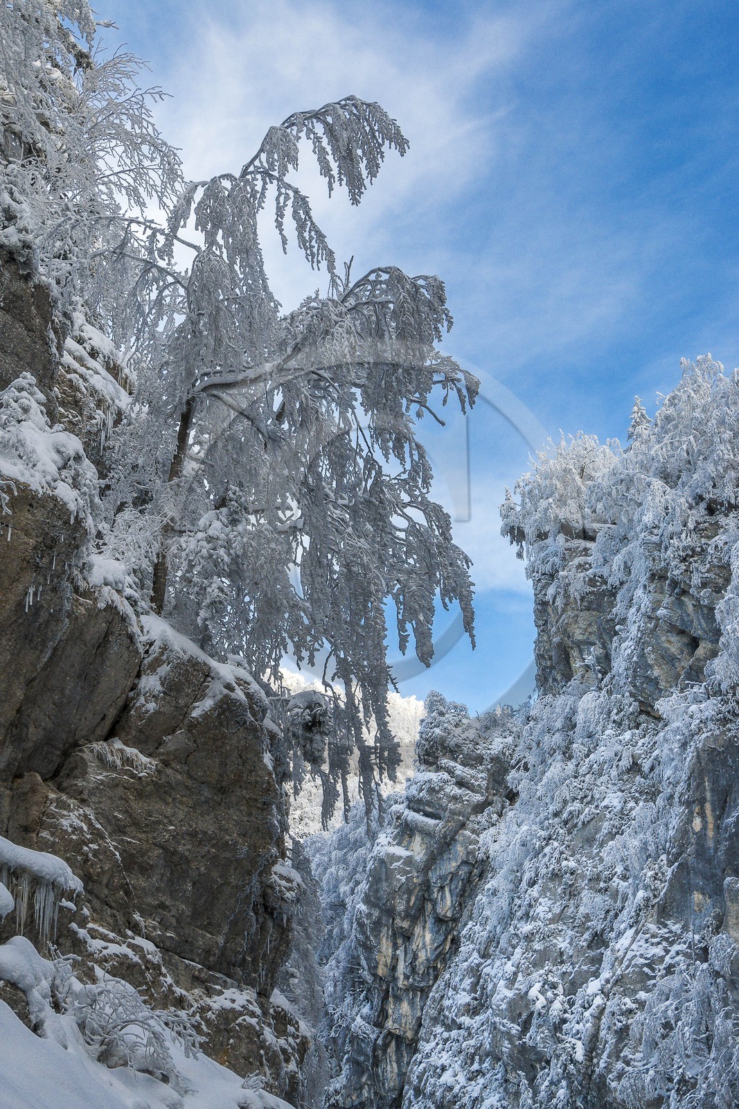 ENS de l'Isère, Les Ecouges