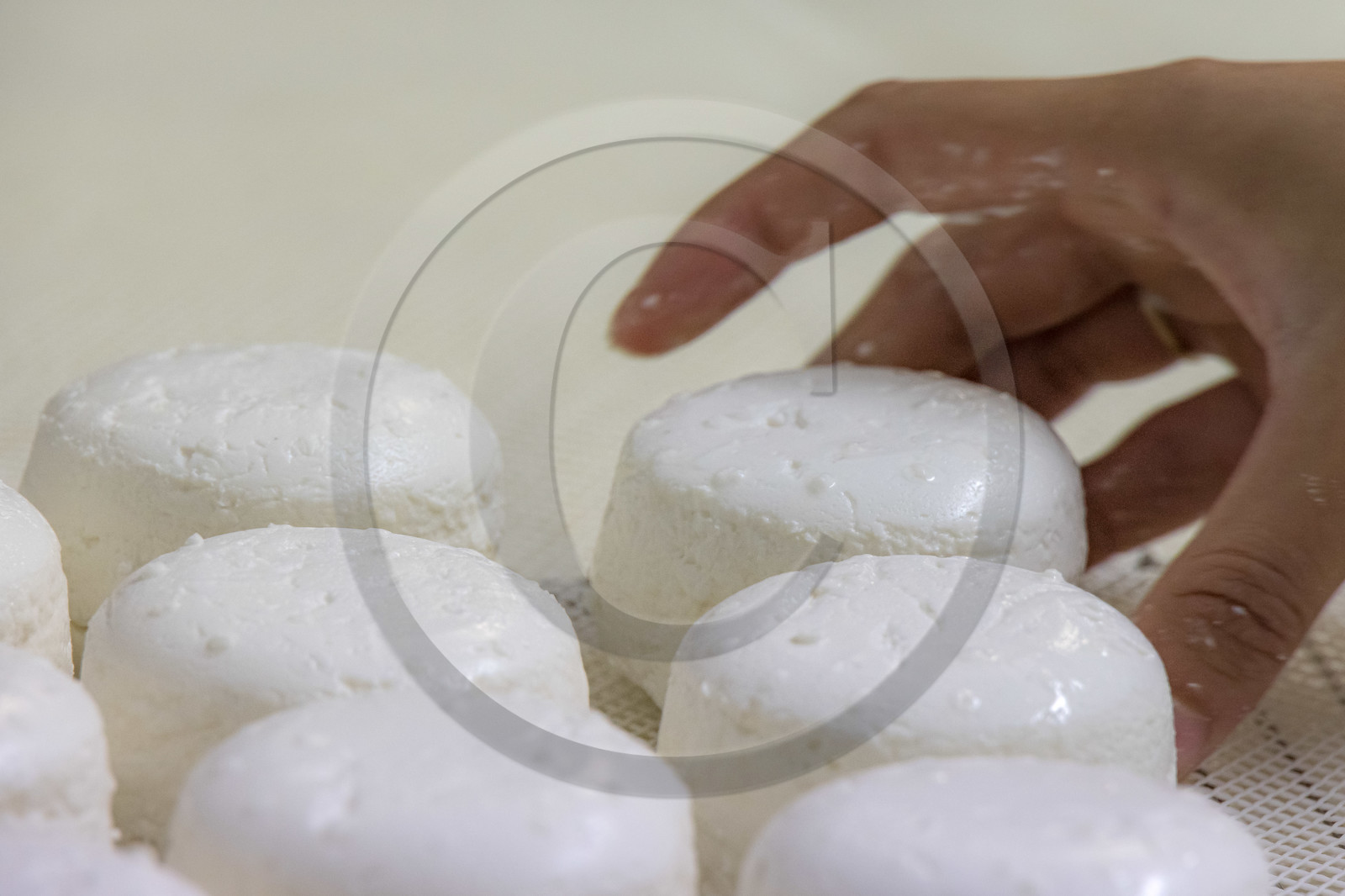 Gaec La Ferme des Ecrins