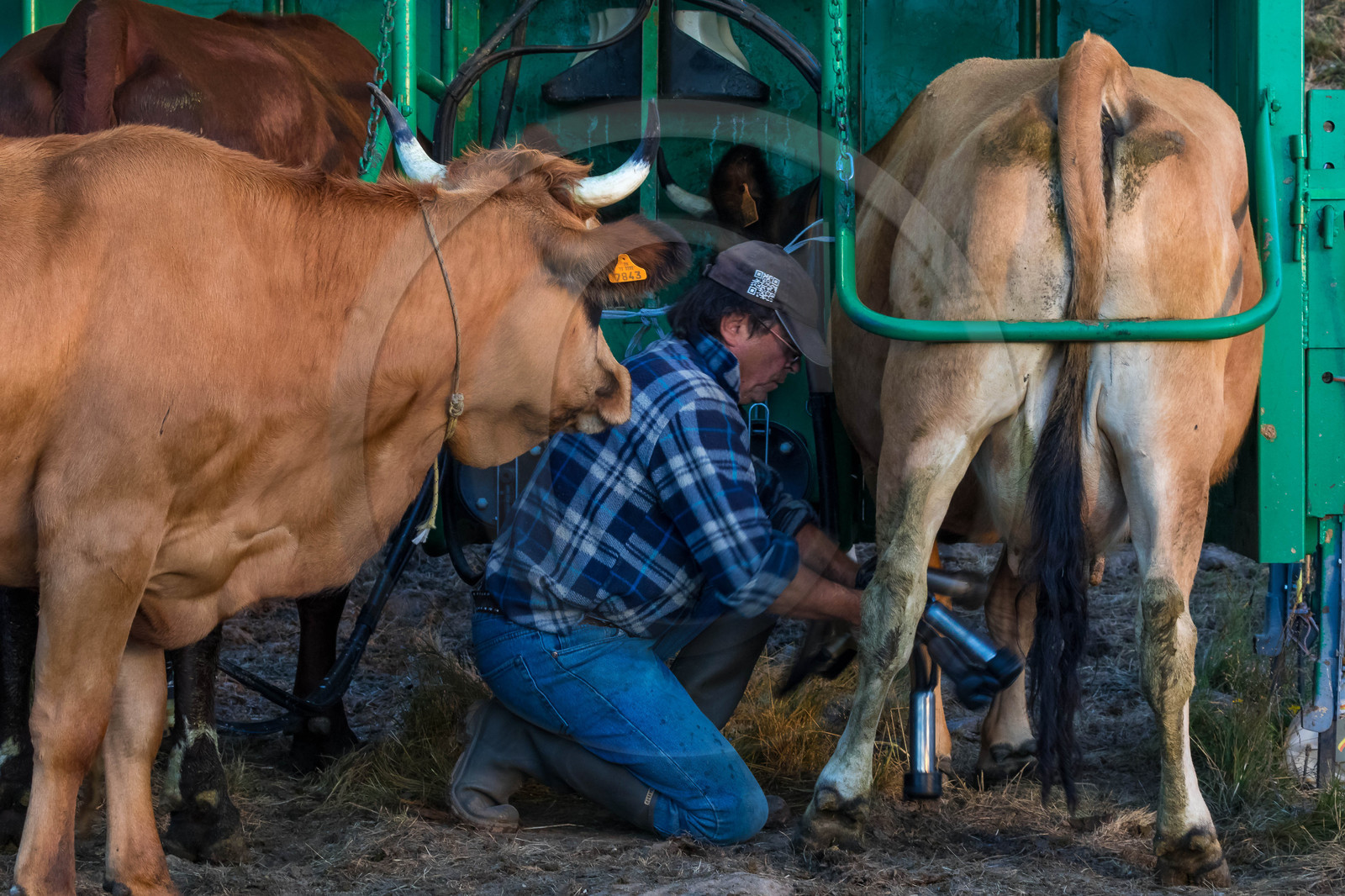 Alpage de l'Arpettaz