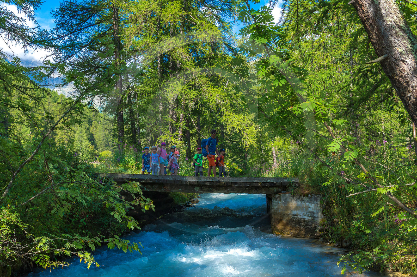 Curieux de nature, sortie découverte avec Cyril Mahout