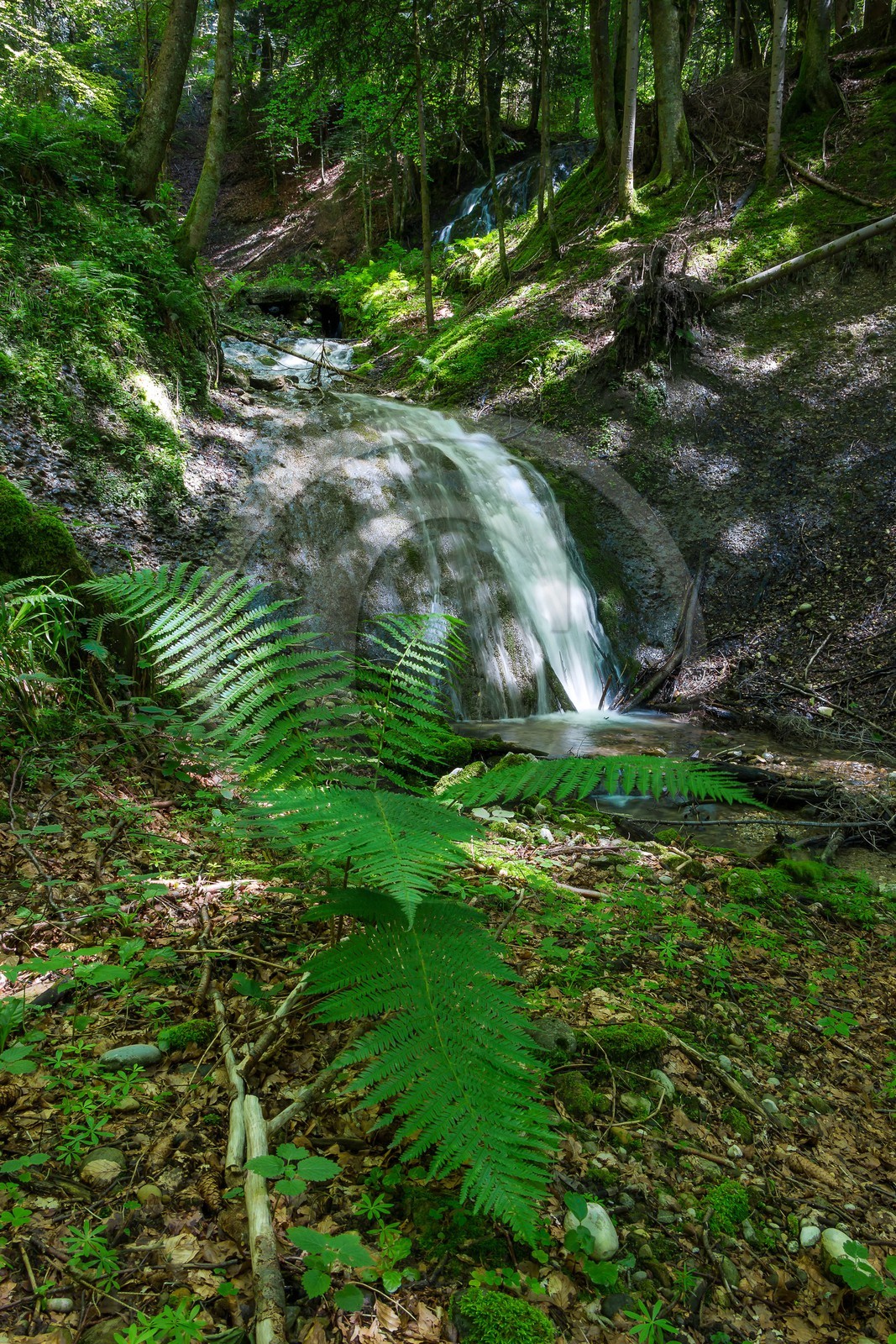 ENS de l'Isère, Les Ecouges