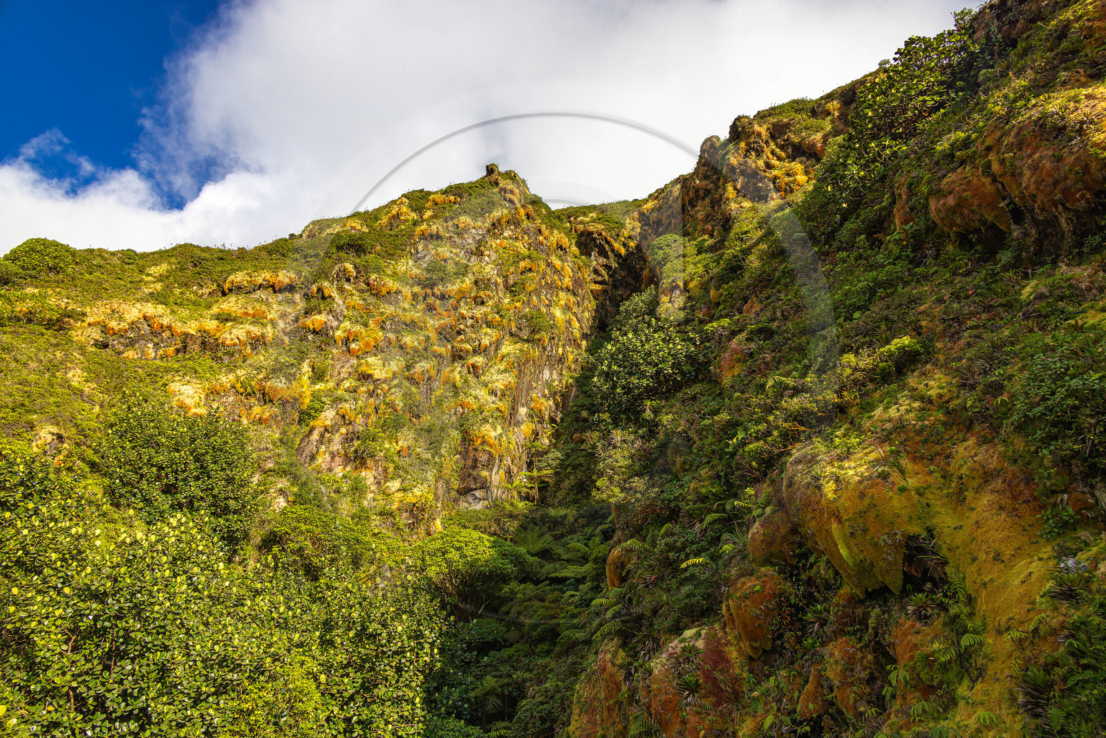 La Soufrière, volcan actif de la Guadeloupe