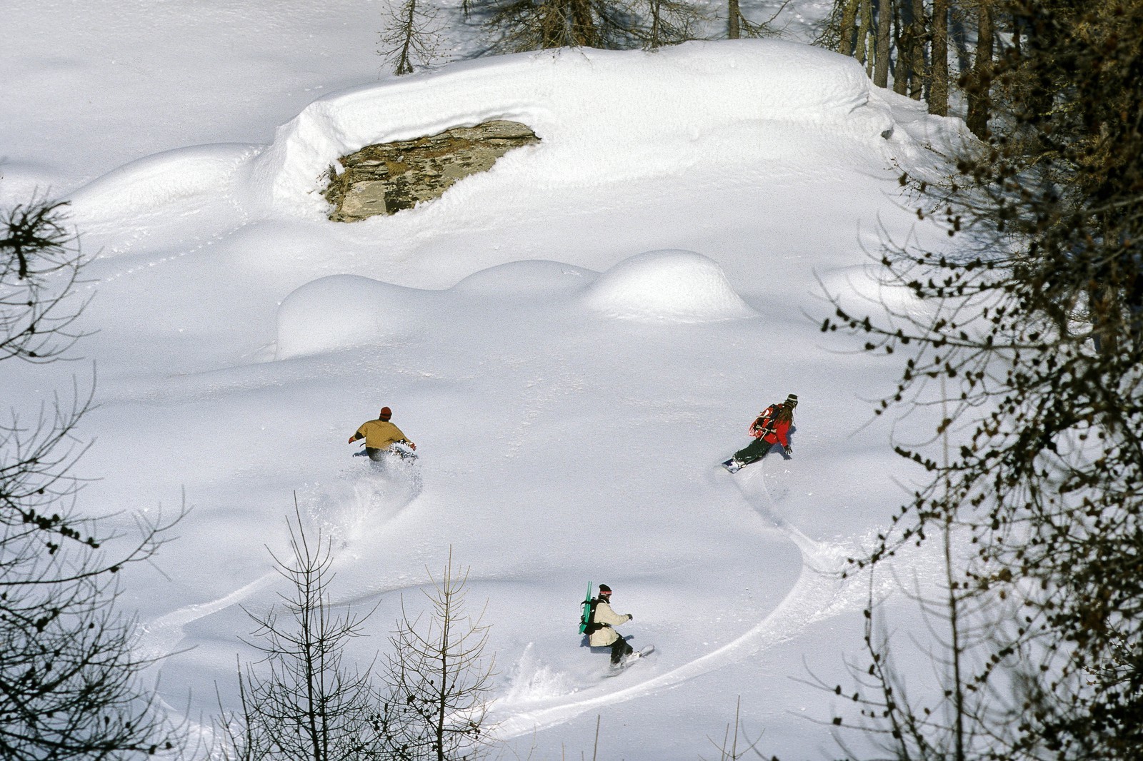 Surf des neige, Snowboard